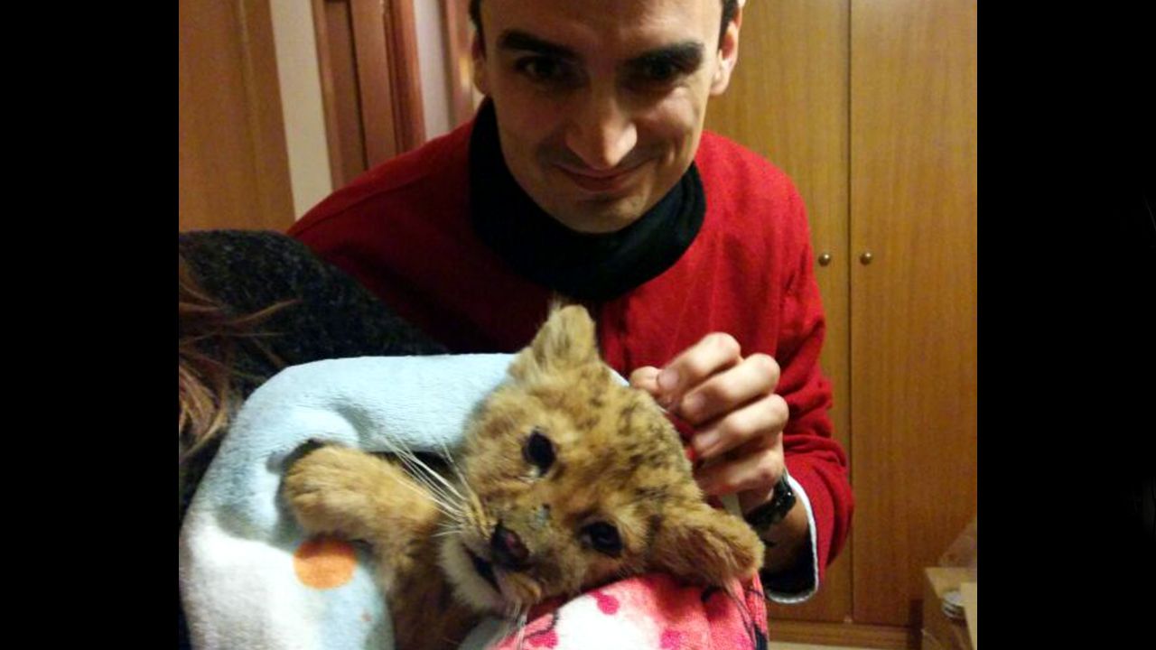 Una tarde con León
